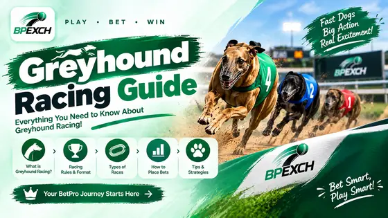 Greyhound Racing
